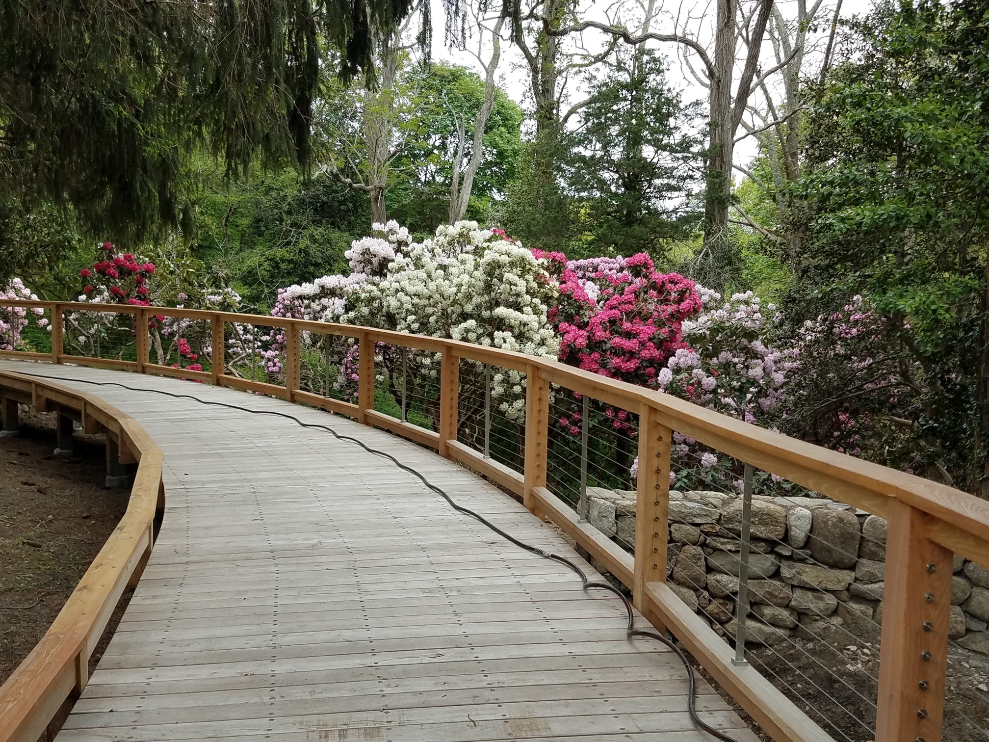 Find walking and hiking trails in the cities, mountains, and couuntryside in all seasons; . Nature Trail And Boardwalk Boston Ma Robi Decking