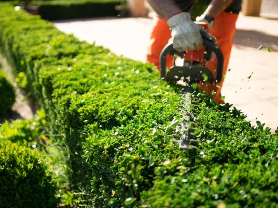 lawn mowing Omaha