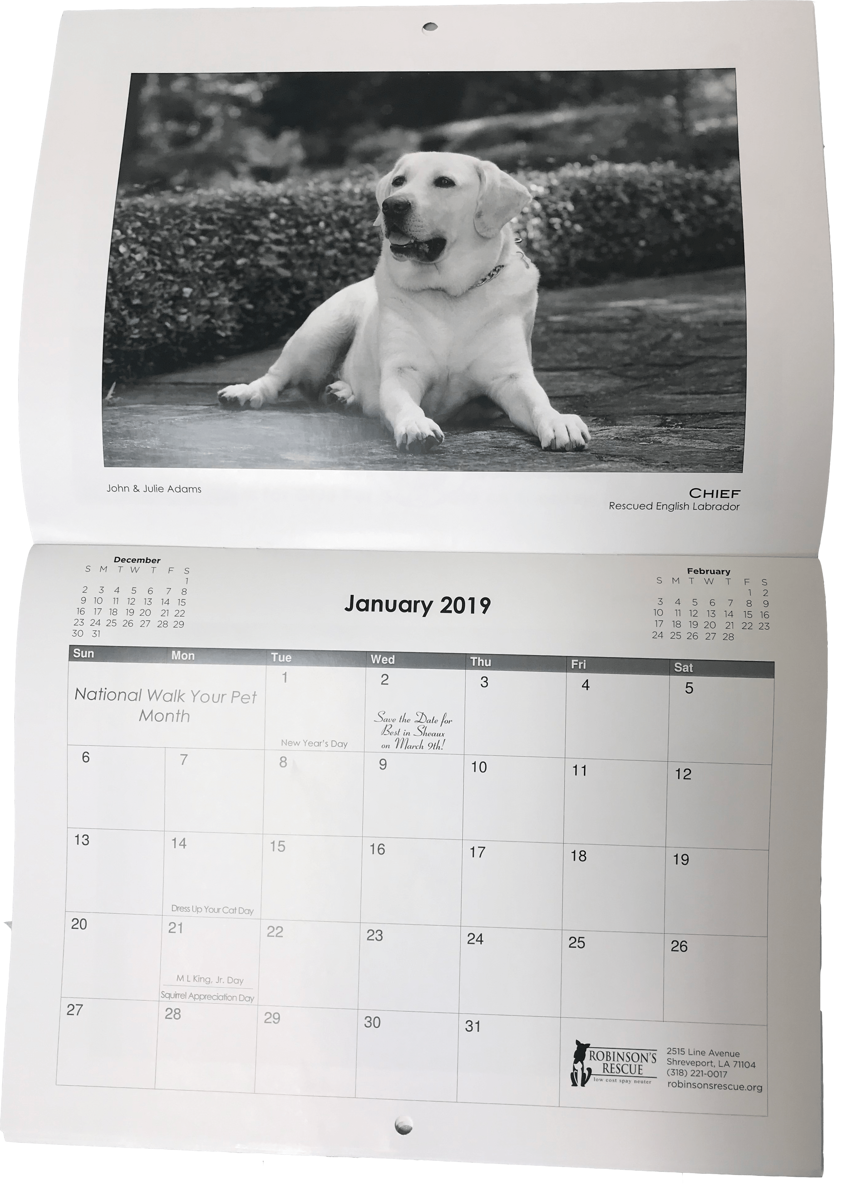 Calendar Slider Robinson S Rescue