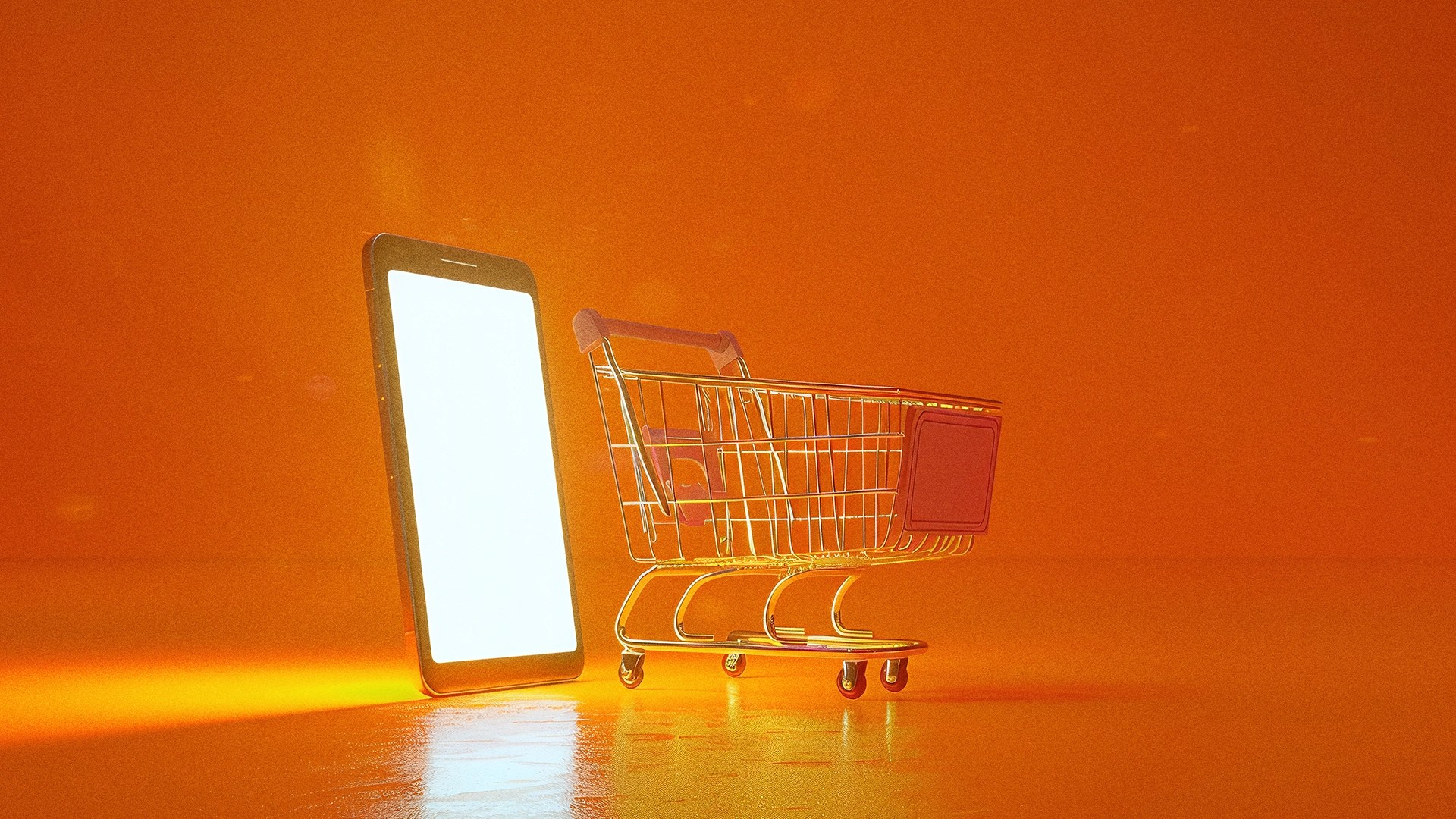 Website SEO