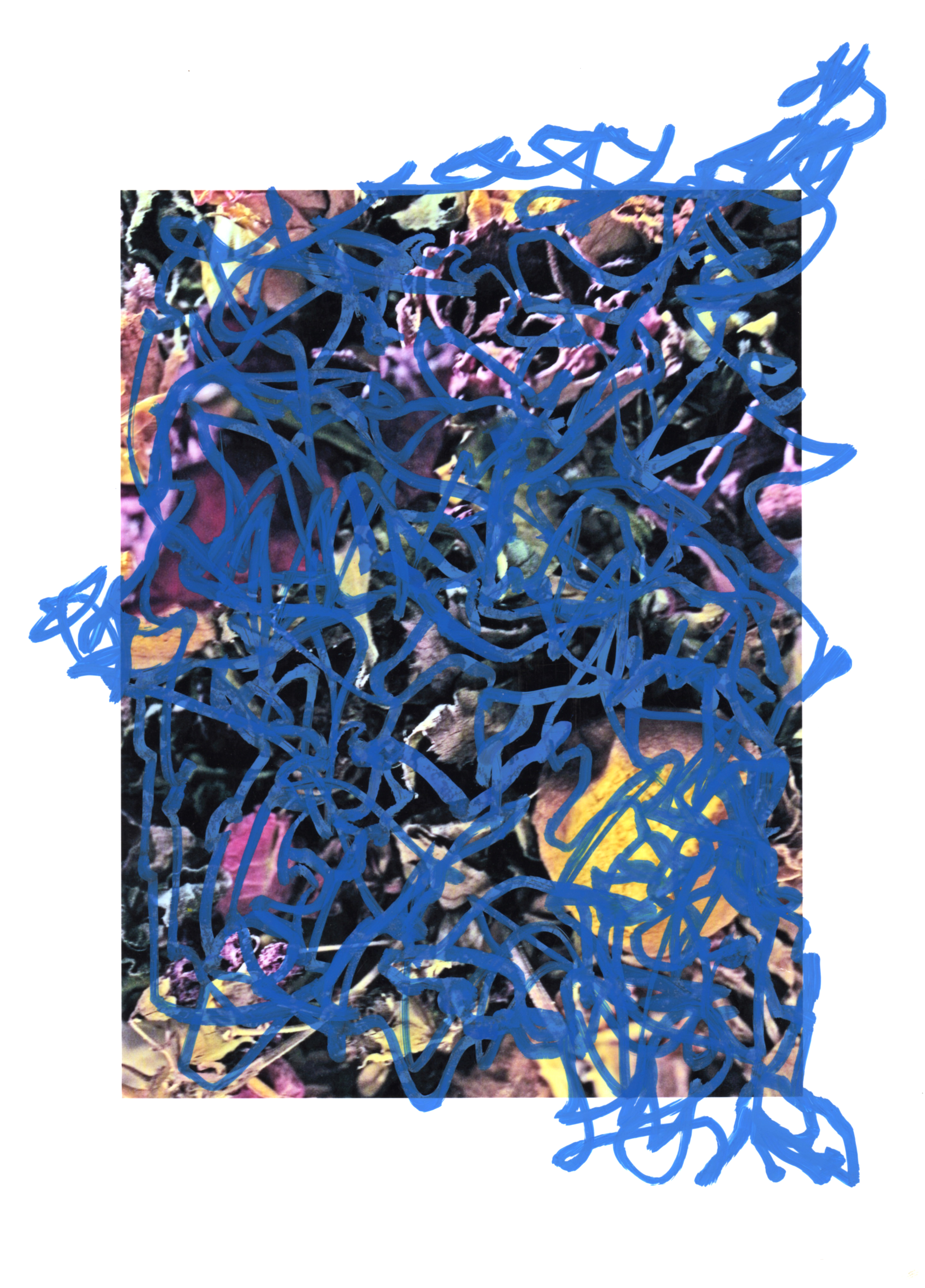 Shohei Fujimoto + Rob Kidney exhibition Where’s The Music?