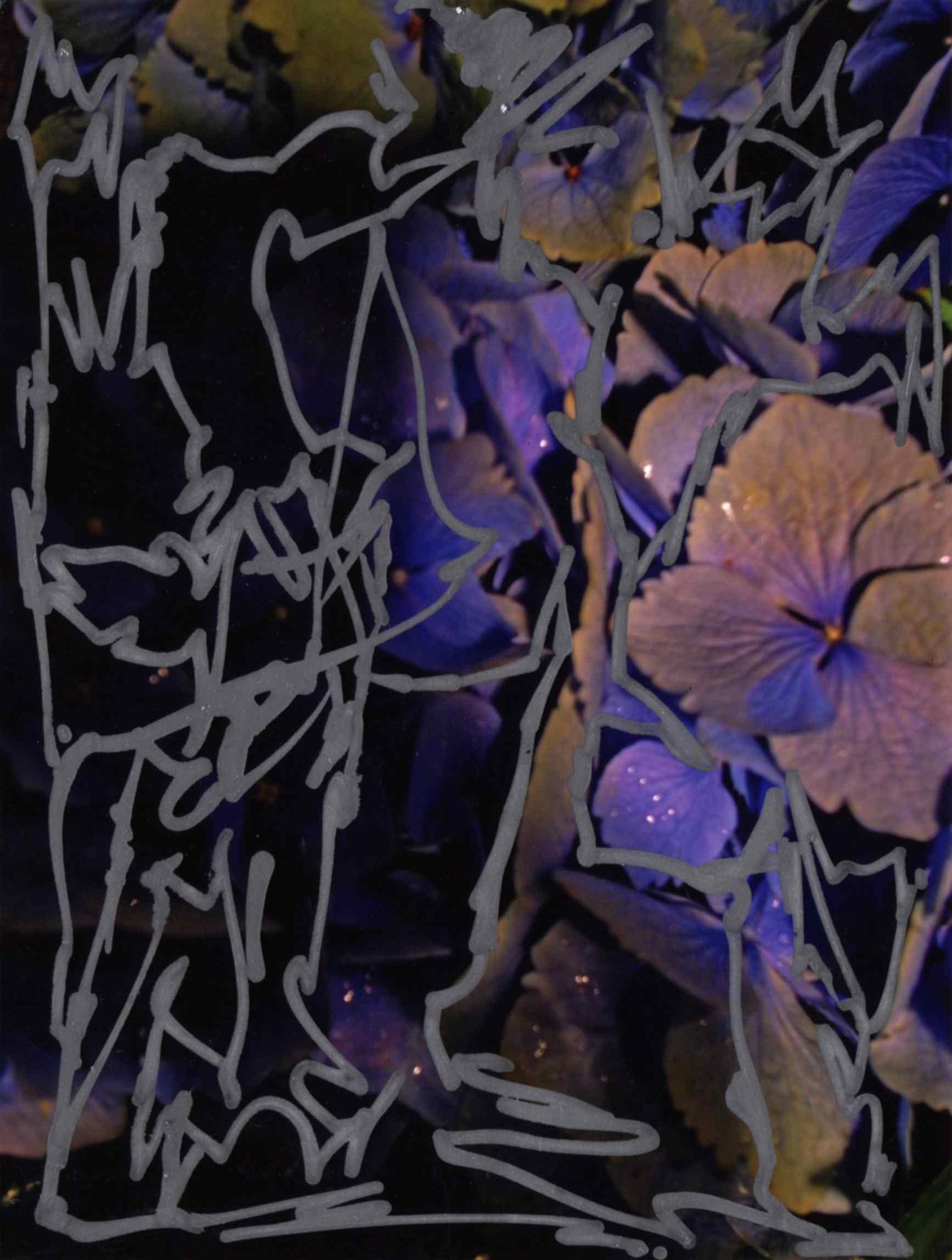 Shohei Fujimoto + Rob Kidney exhibition Where’s The Music?