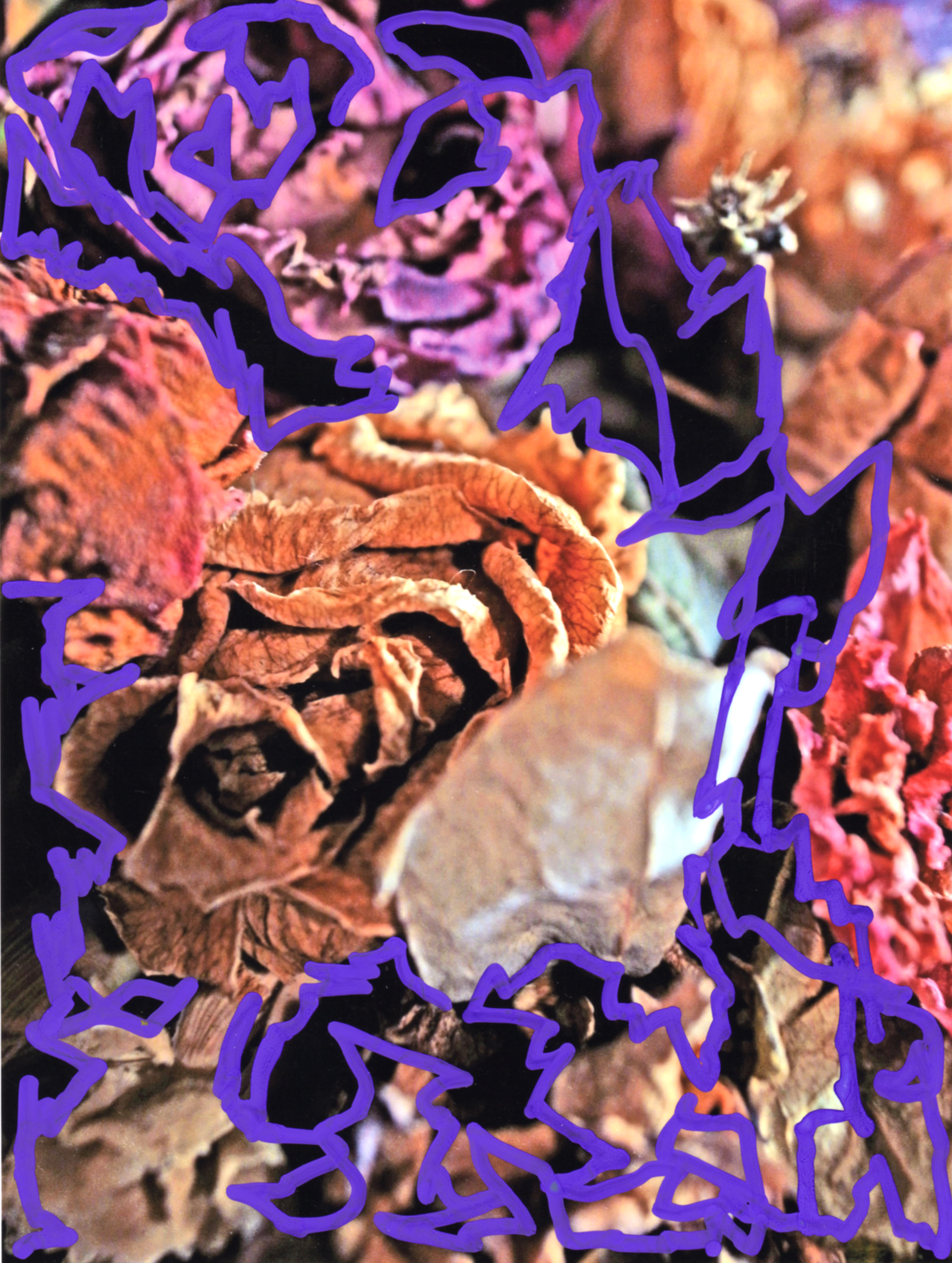 Shohei Fujimoto + Rob Kidney exhibition Where’s The Music?