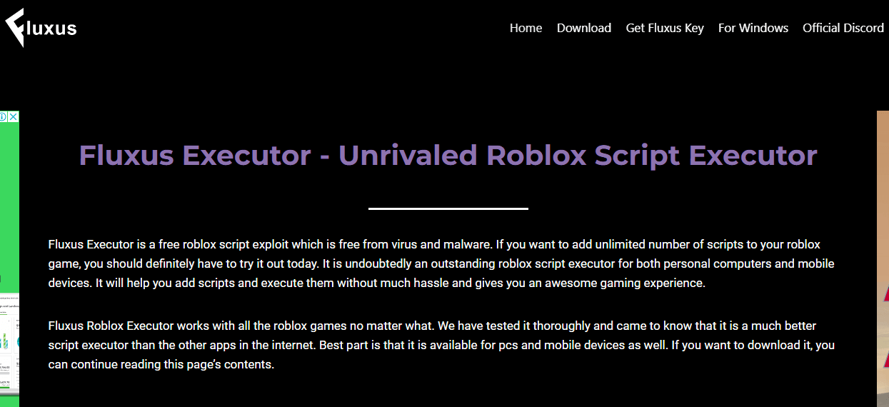 10 Best Roblox Executor Master Roblox Scripting In 2025 Fluxus 