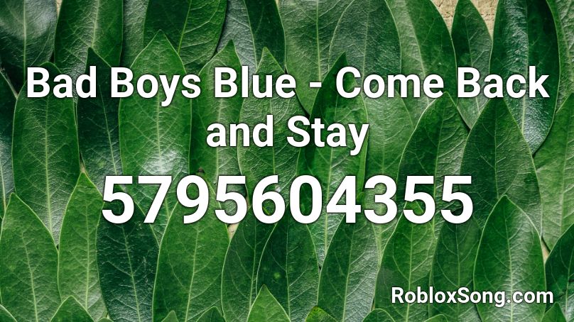 Bad Boys Blue Come Back And Stay Roblox ID Roblox Music Codes 5795604355 