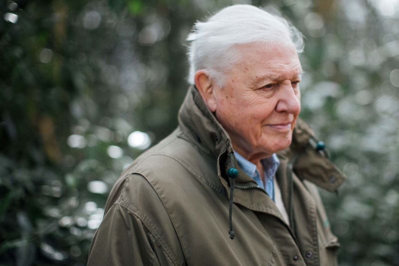 Rob Sewell Manning Author - Best Nature Photos in Ultra HD