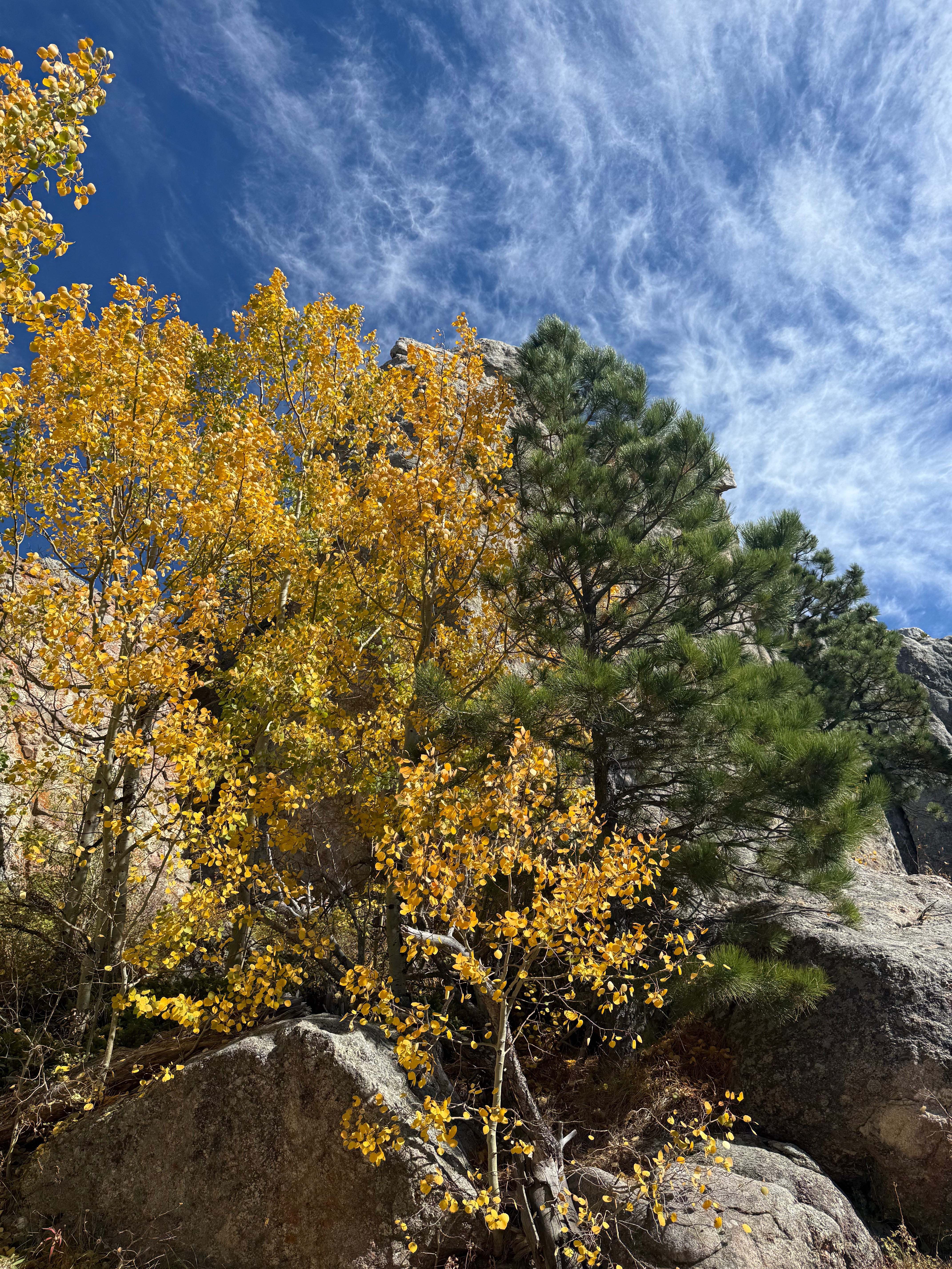 Just below the summit