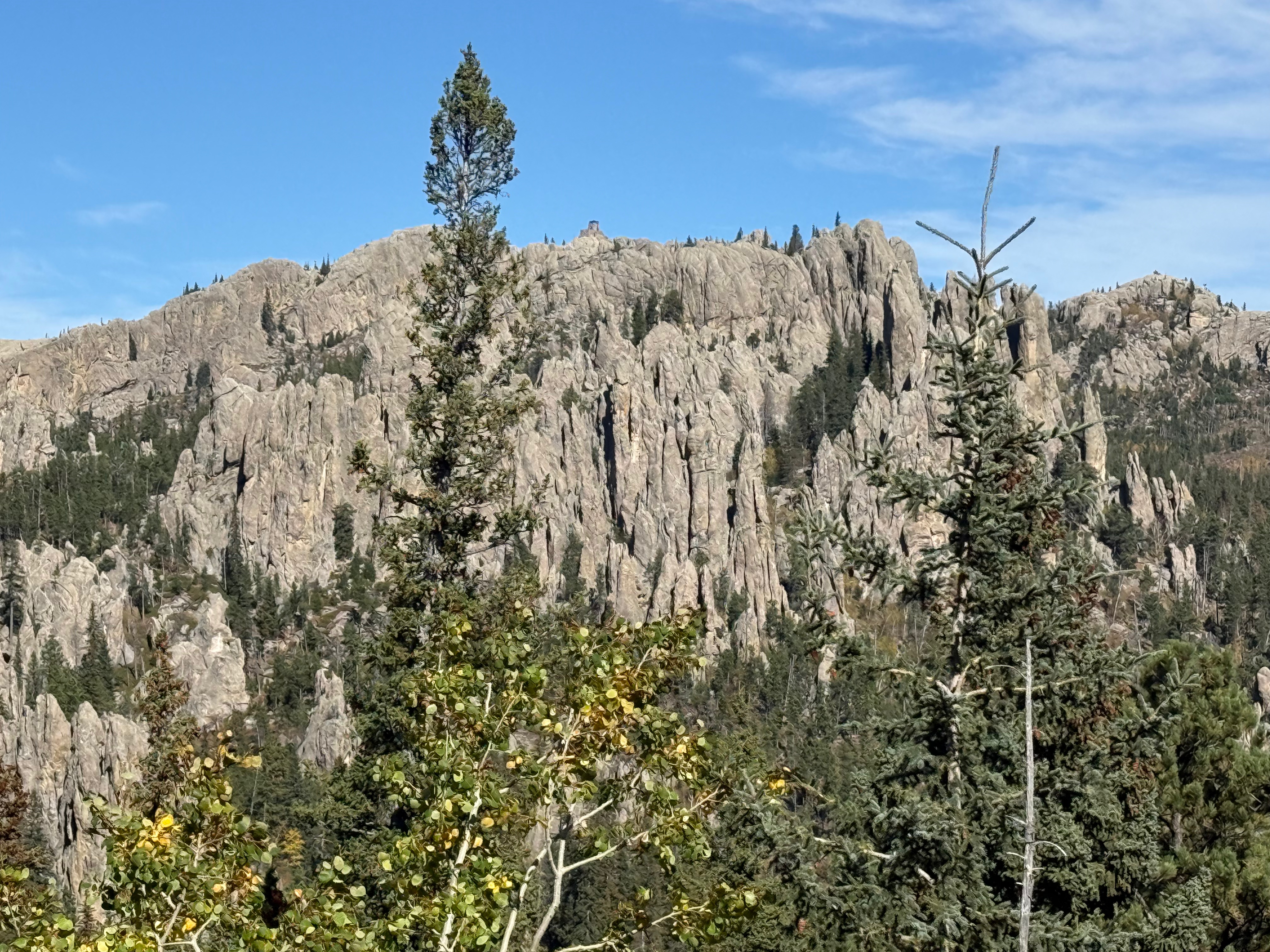 Black Elk Peak seen from return leg—summit lookout tower is visible just left of center