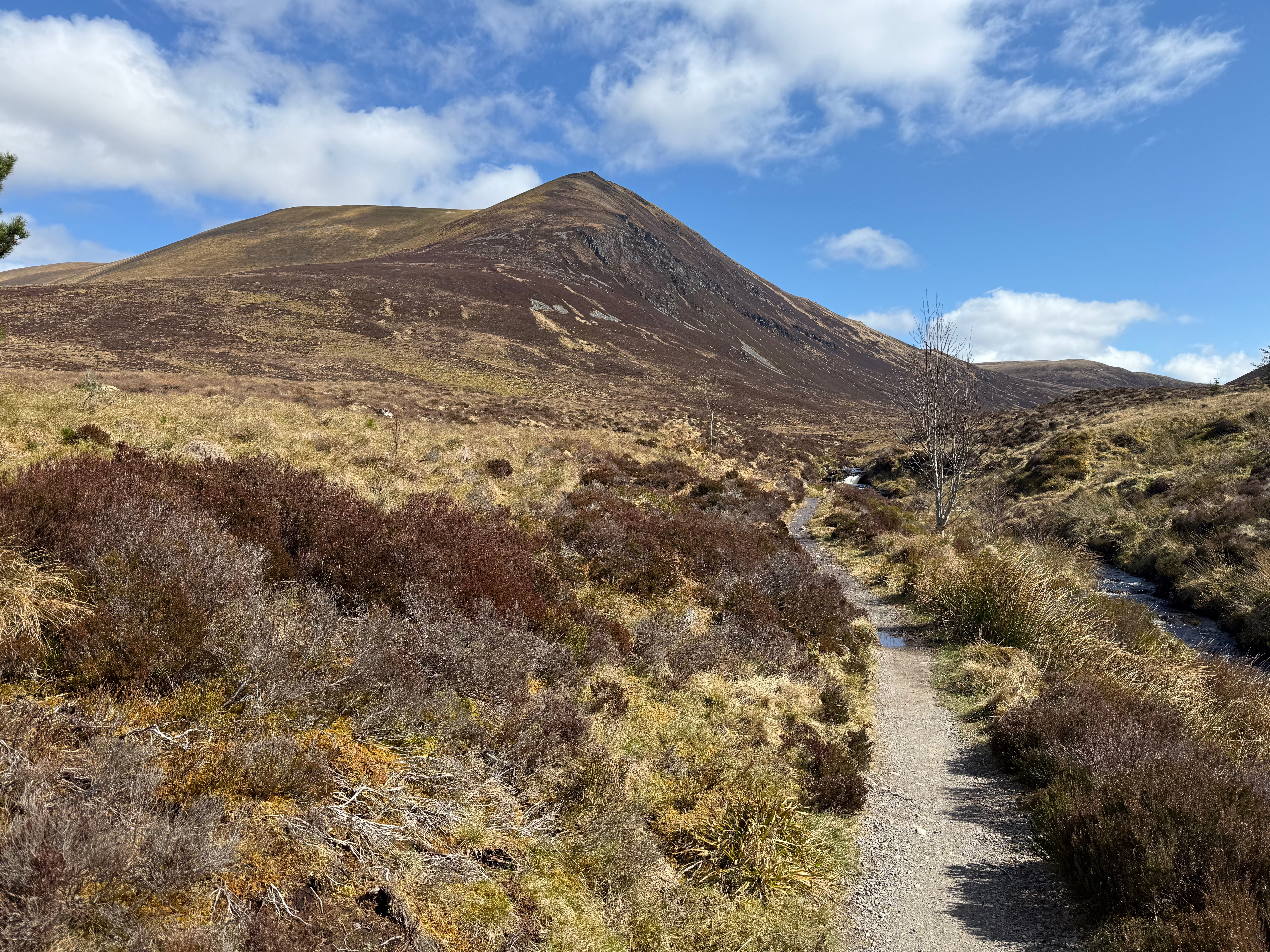 Back down in the glen: Ab Cabar, center, the Wyvis ridge to the left