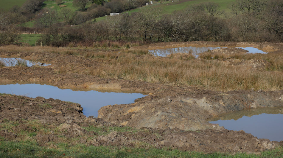 recently dug ponds with mud around their edges