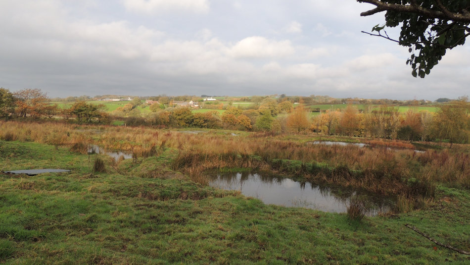 view over the back field showing the various ponds