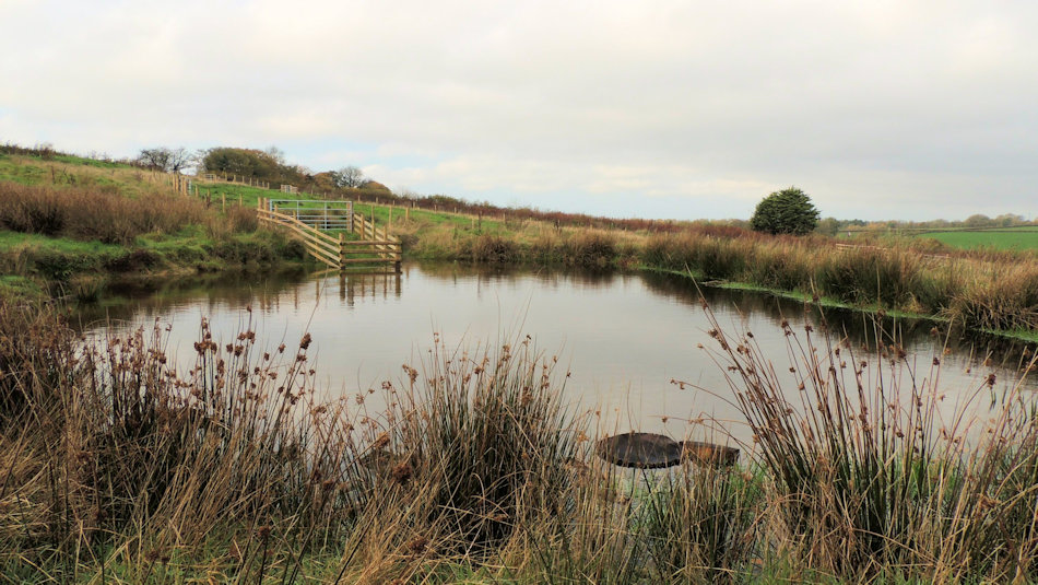 a large pond full of water, with fencing running down to it and wood floating in it