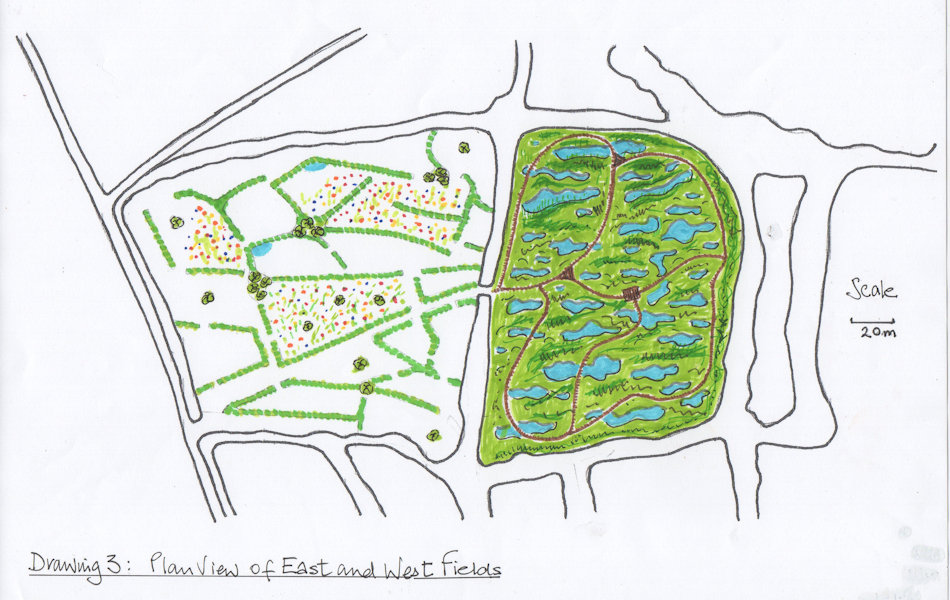 hand drawn plan of the two fields with hedges, wildflower areas, board walks and ponds