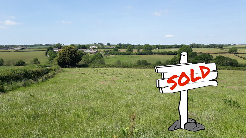 a green field with a cartoon style sold sign on it