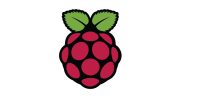 raspberry-02