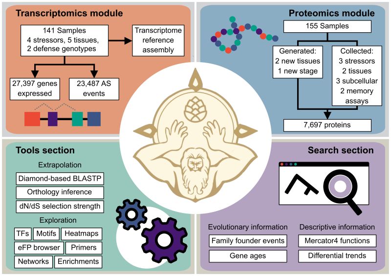 Pra Ge Atlas - Best Gradient Wallpapers in Mobile