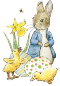 The location, topography, and nearby roads & trails around barnes corners (city) can be seen in the map layers above. Peter Rabbit Spring Story TimeBarnes & Noble at RIT | Kids