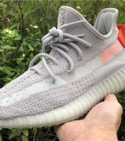Alternative view of adidas Yeezy Boost 350 V2 "Tail Light"