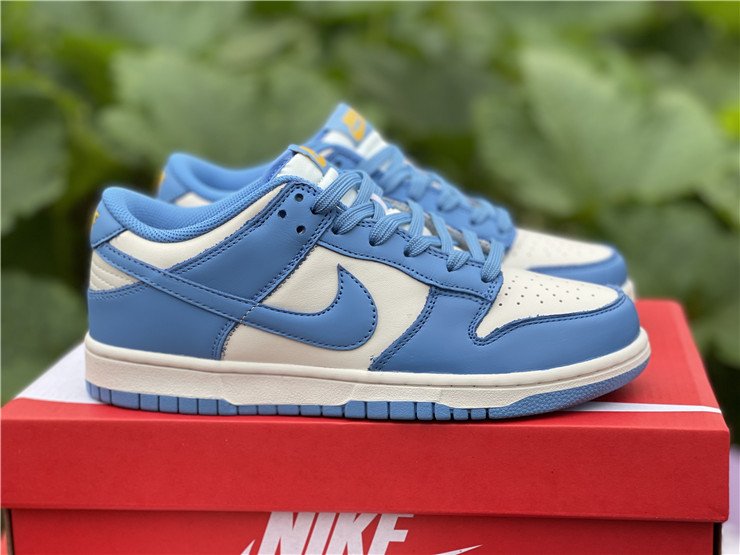 Nike Dunk Low Coast 2021 Con envío GRATIS - DD1503-100