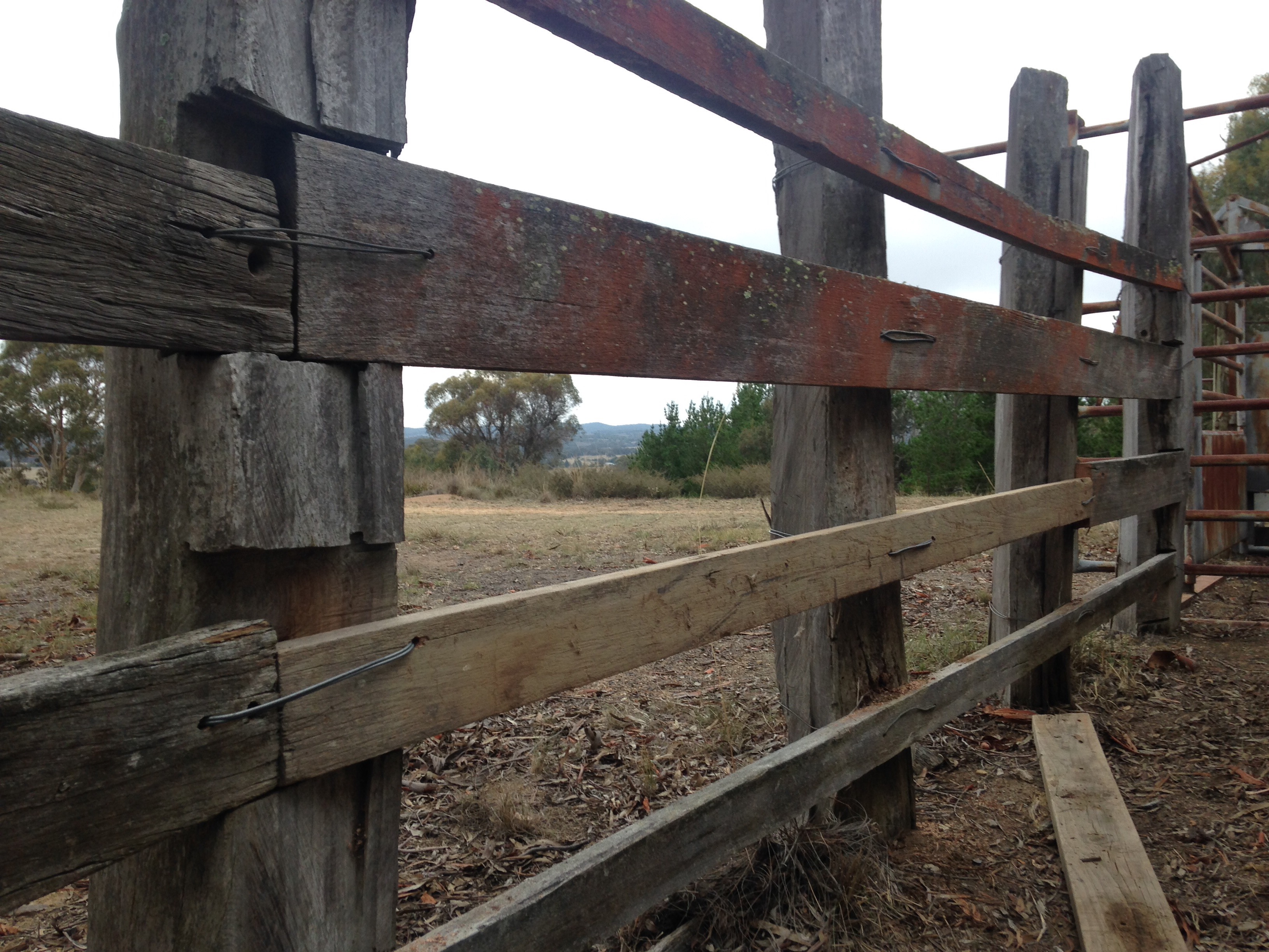 Whether you're raising sheep for their wool, their meat, or their milk,. How To Repair Timber Sheep Yards Rockfarming