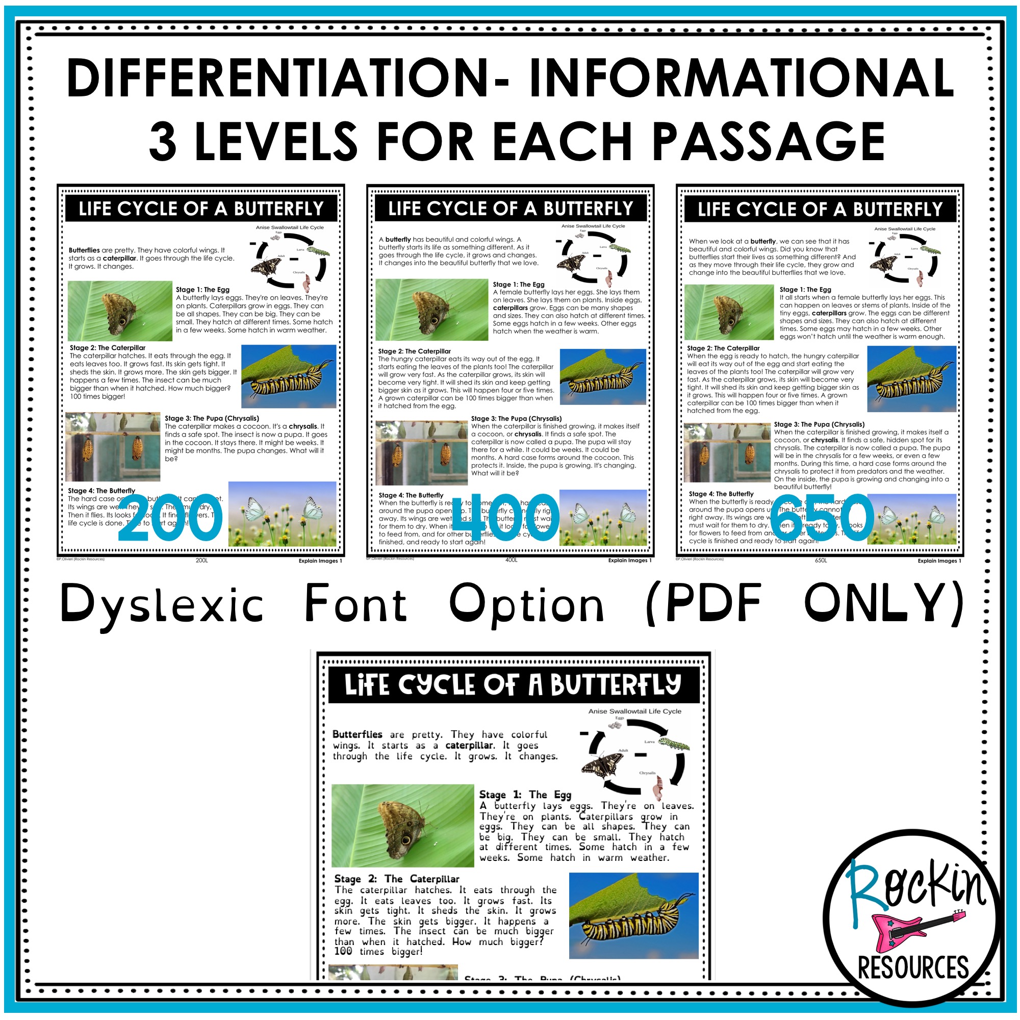 2nd Grade Reading Comprehension Passages Bundle - Rockin Resources