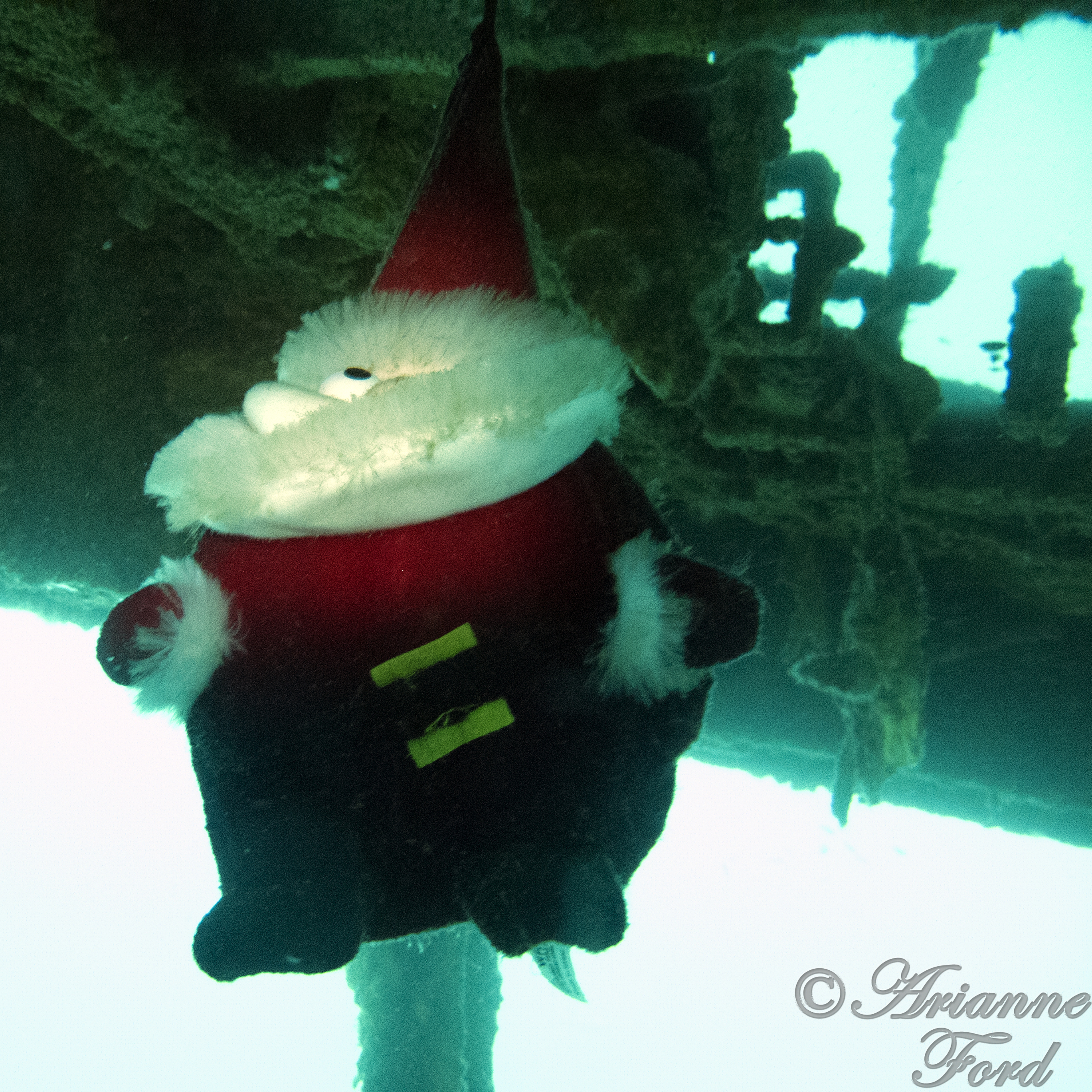 Bay of Islands - HMNZS Canterbury Santa at the helm?
