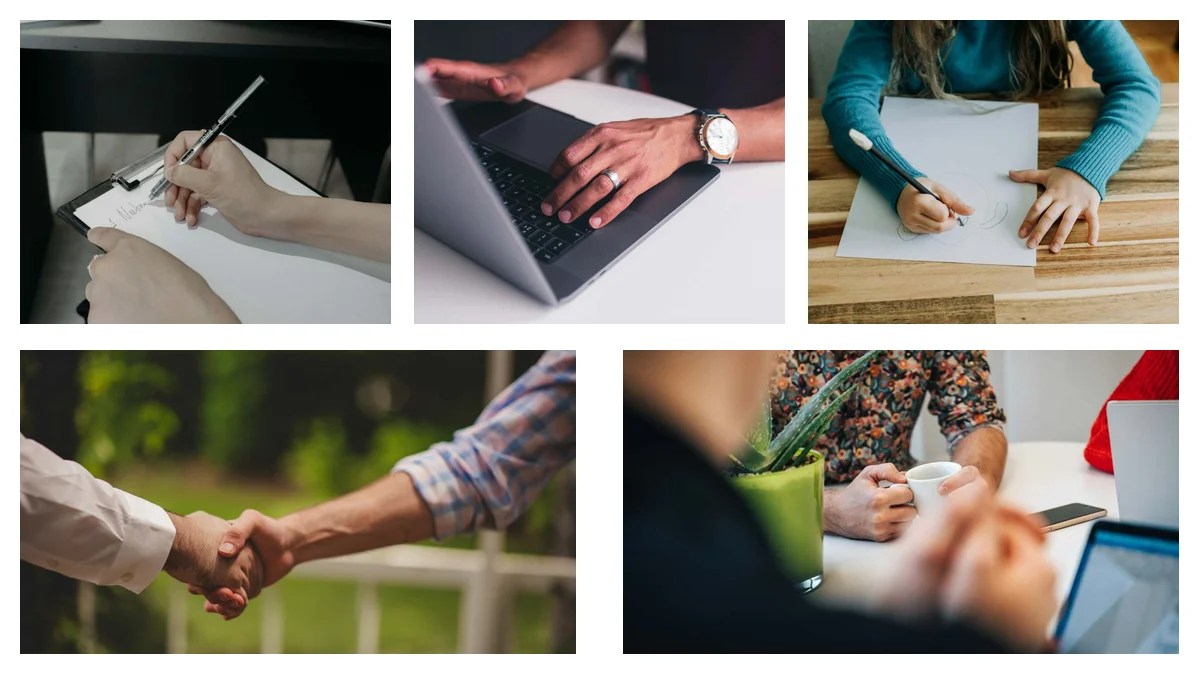 Baker Specializations: Choosing the Right Path