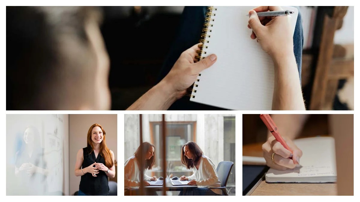 Physical Design Engineer: Startup or Enterprise - Which Path?