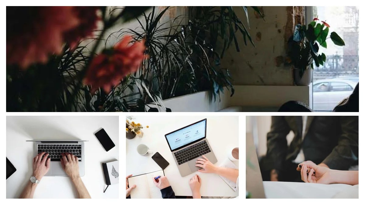 Physical Therapy Technician: Startup or Enterprise - Which Path is Right?