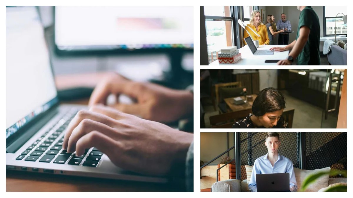 Bank Examiner Resume: Showcase Your Key Strengths