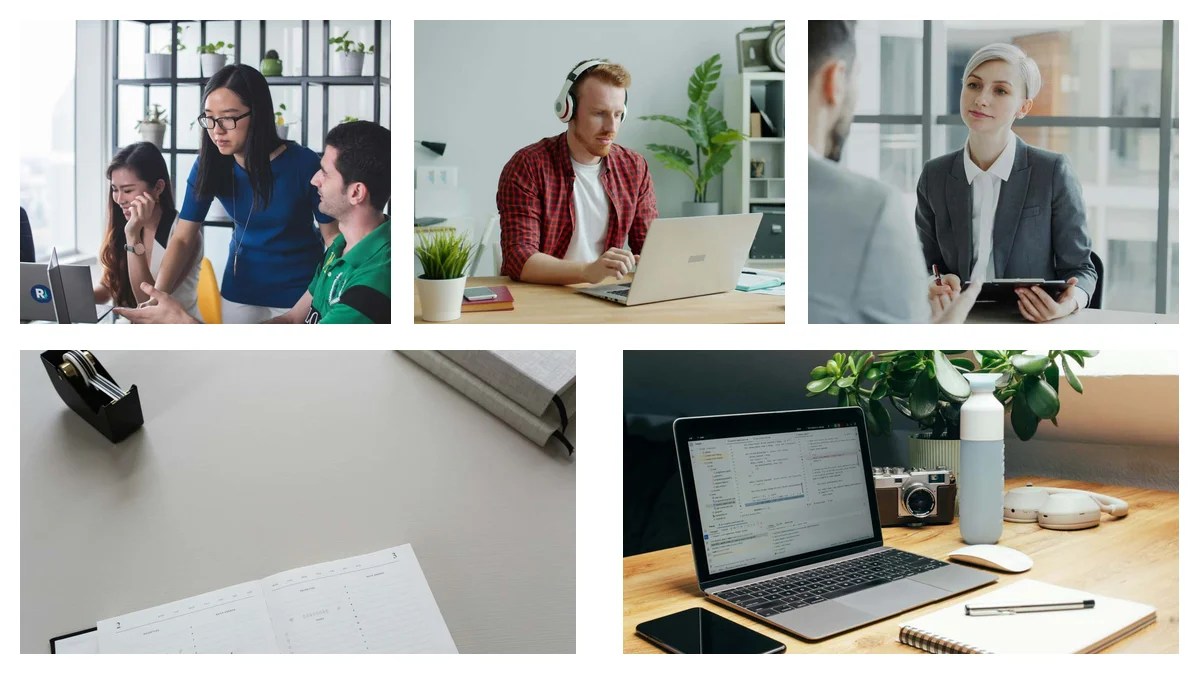 Bank Examiner: Master Key Terms with This Glossary