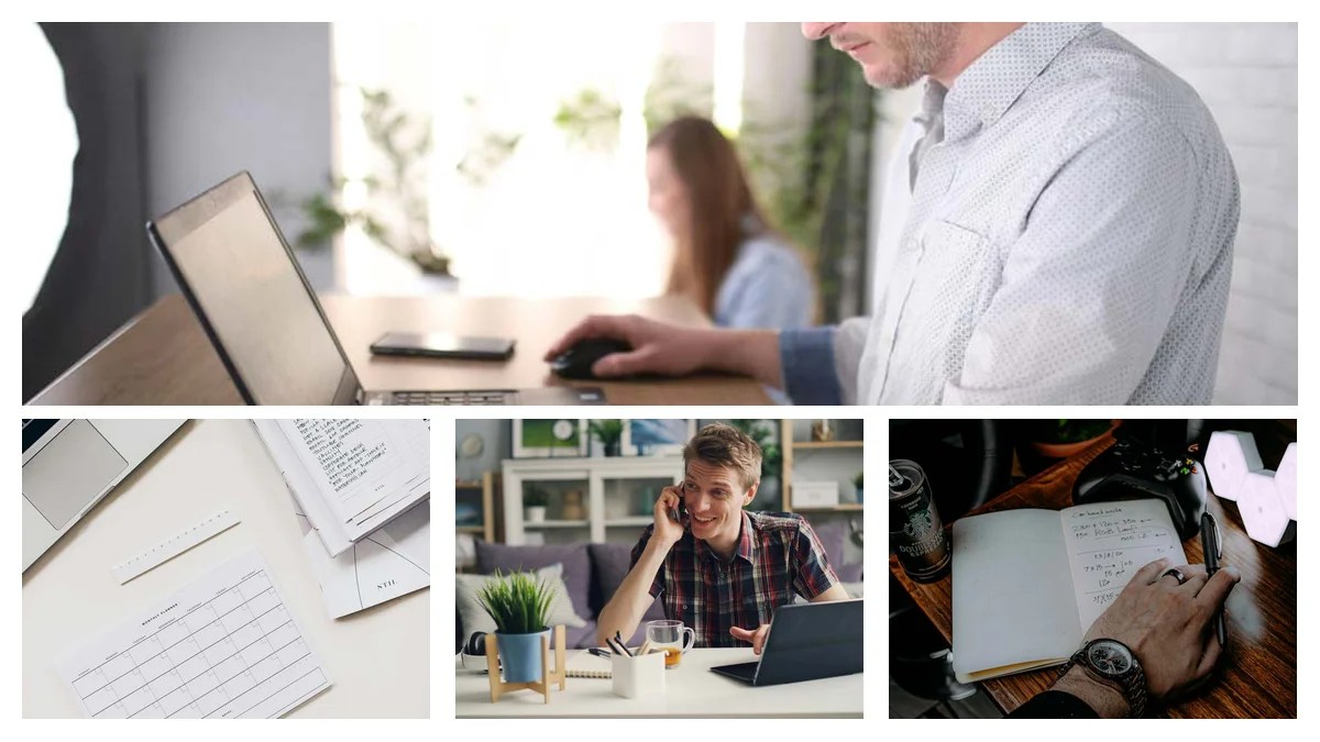 Claim Specialist vs Specialist: Which Path Fits You?