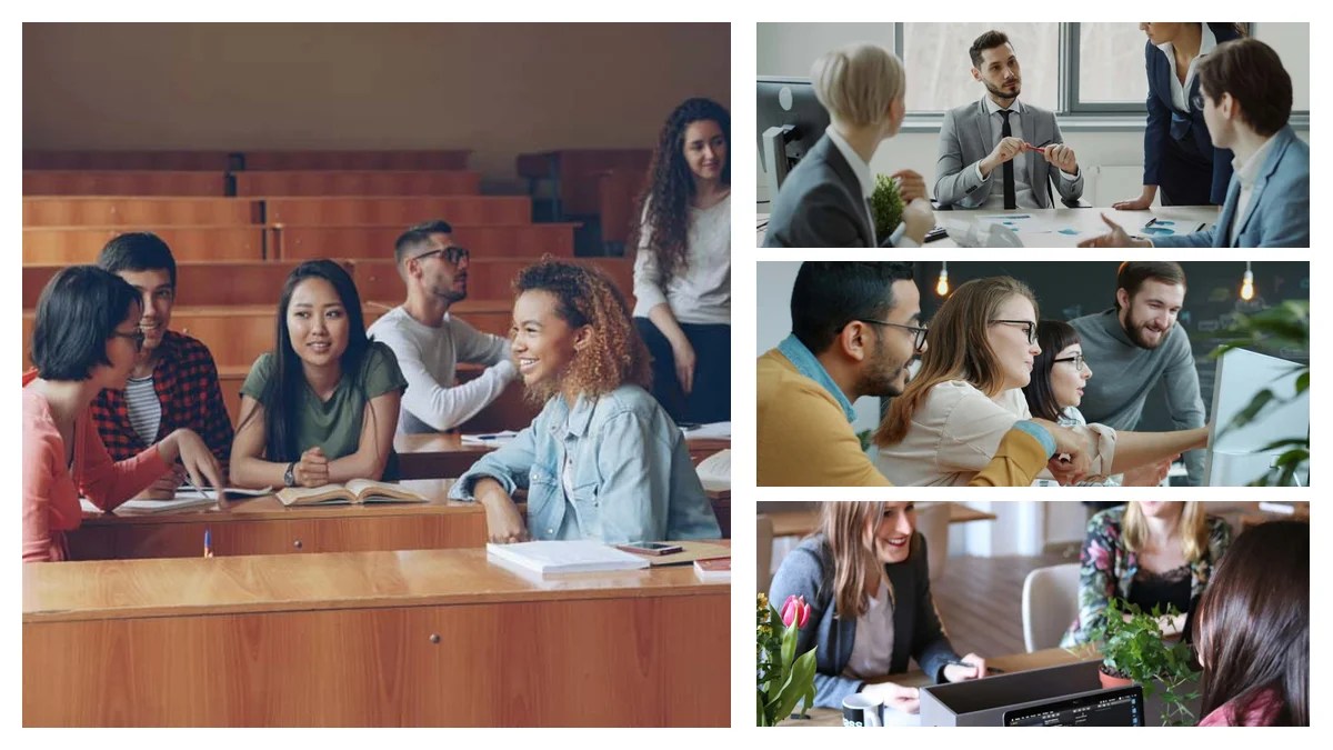 Tax Consultant: Mastering the Art of Uncertainty