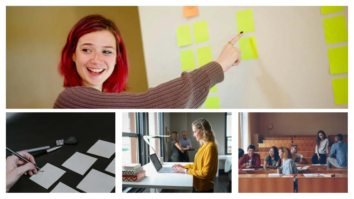 Portfolio Administrator: A Playbook to Master Your Role