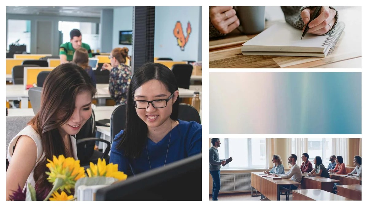 Become a Transit Operator with No Experience: A Step-by-Step Guide