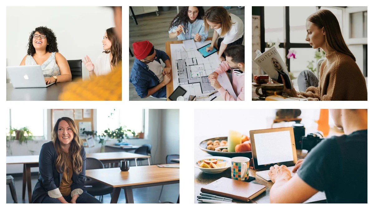 Agronomist: The Perfect LinkedIn Headline and About Section