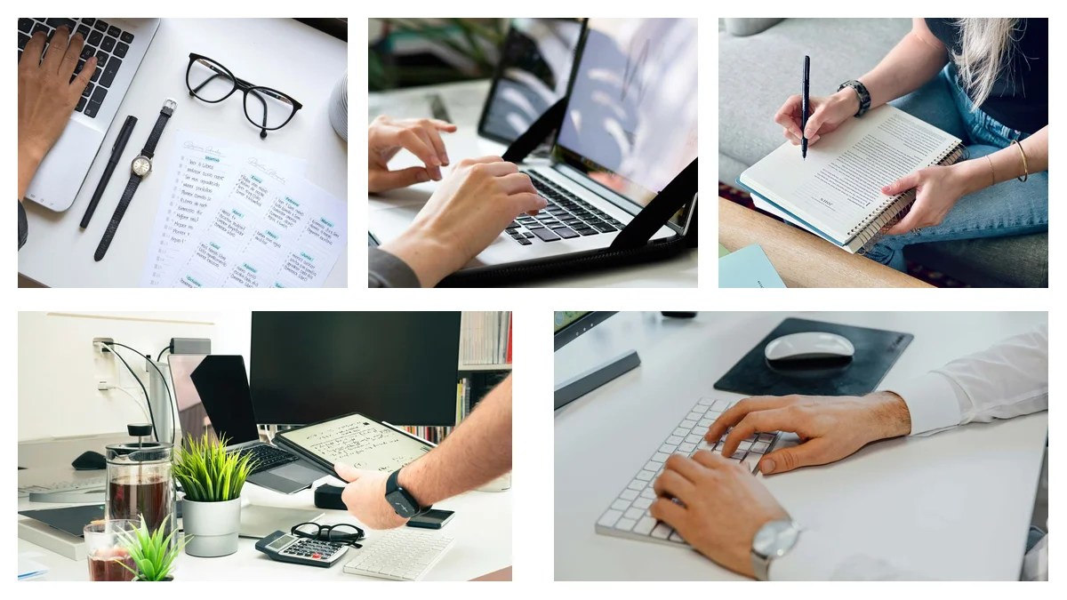 Sales Coordinator Specializations: A Practical Guide to Level Up