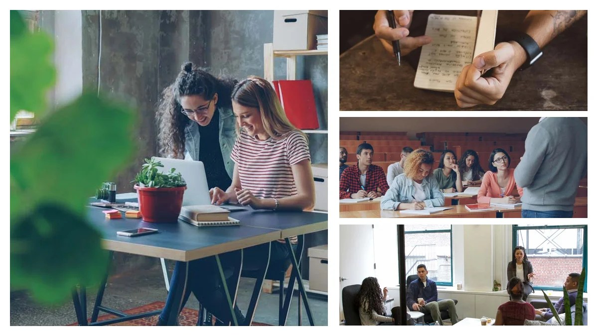 Junior Architect: Specialist vs. Generalist - Which Path is Right for You?