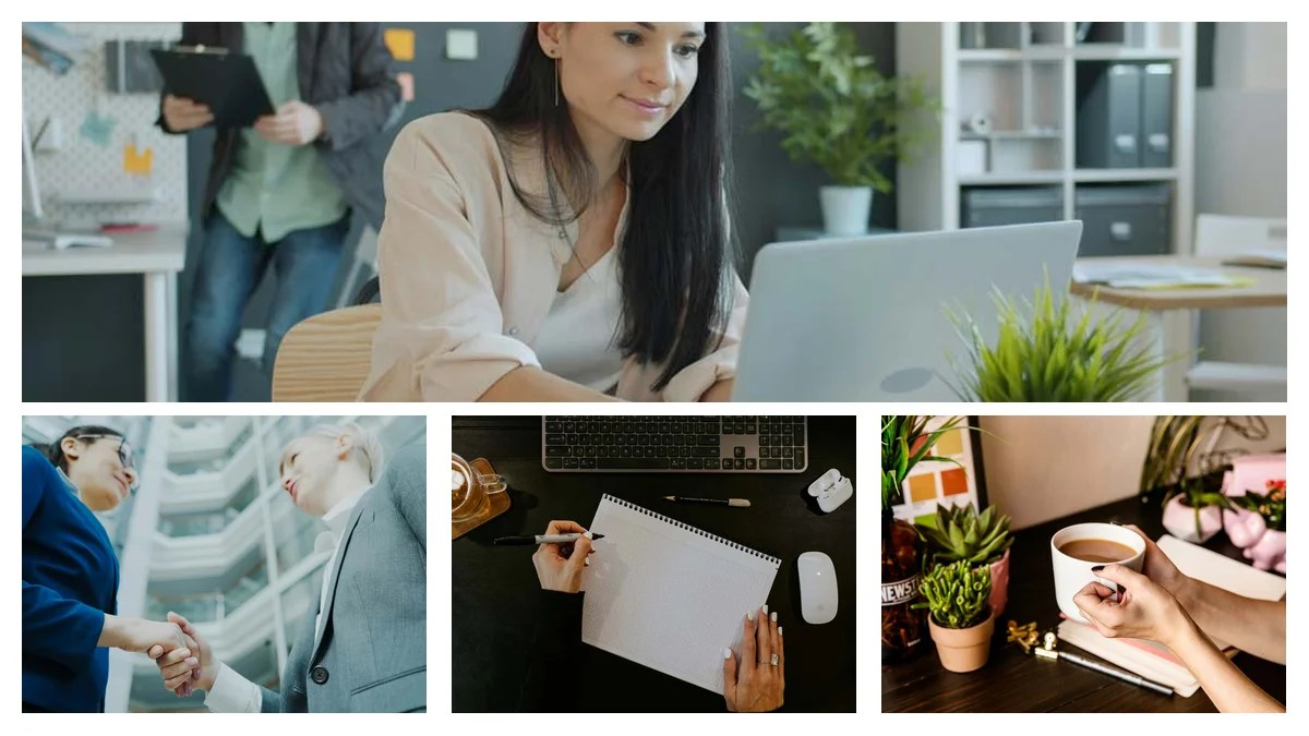 Consultant to Specialist: Transferable Skills Playbook