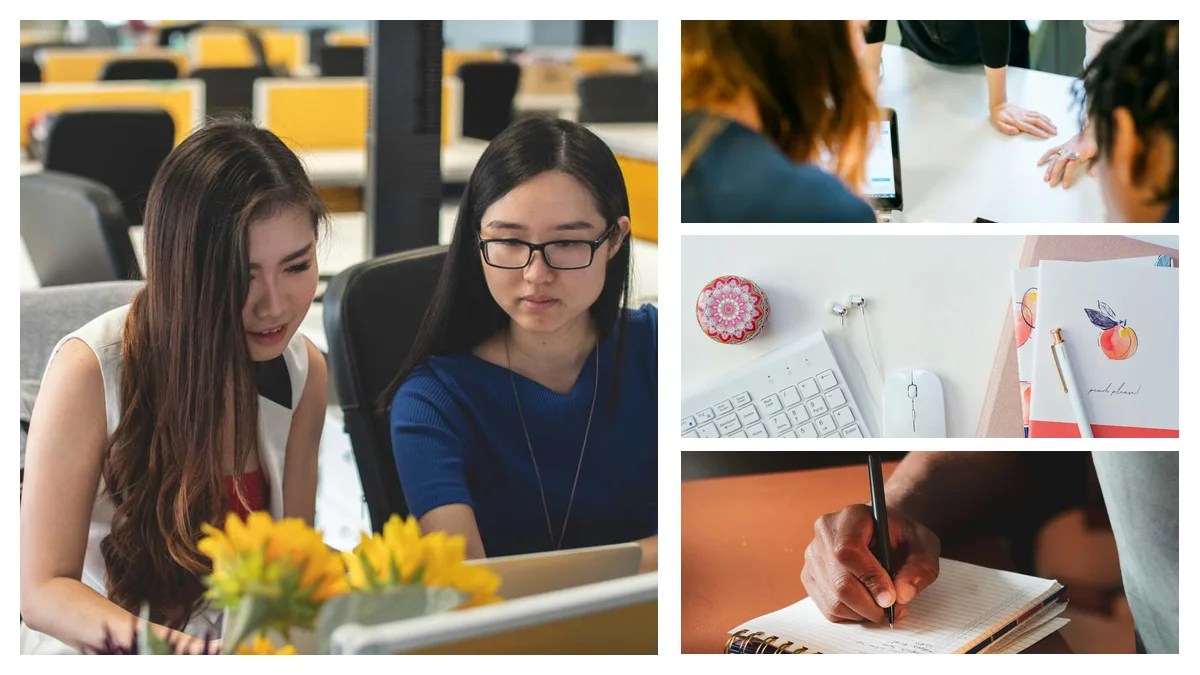 Fraud Analyst Resume: Land the Job with These Tailoring Tips