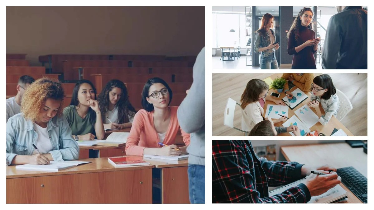 Bakery Clerk: Level Up to Senior Bakery Clerk