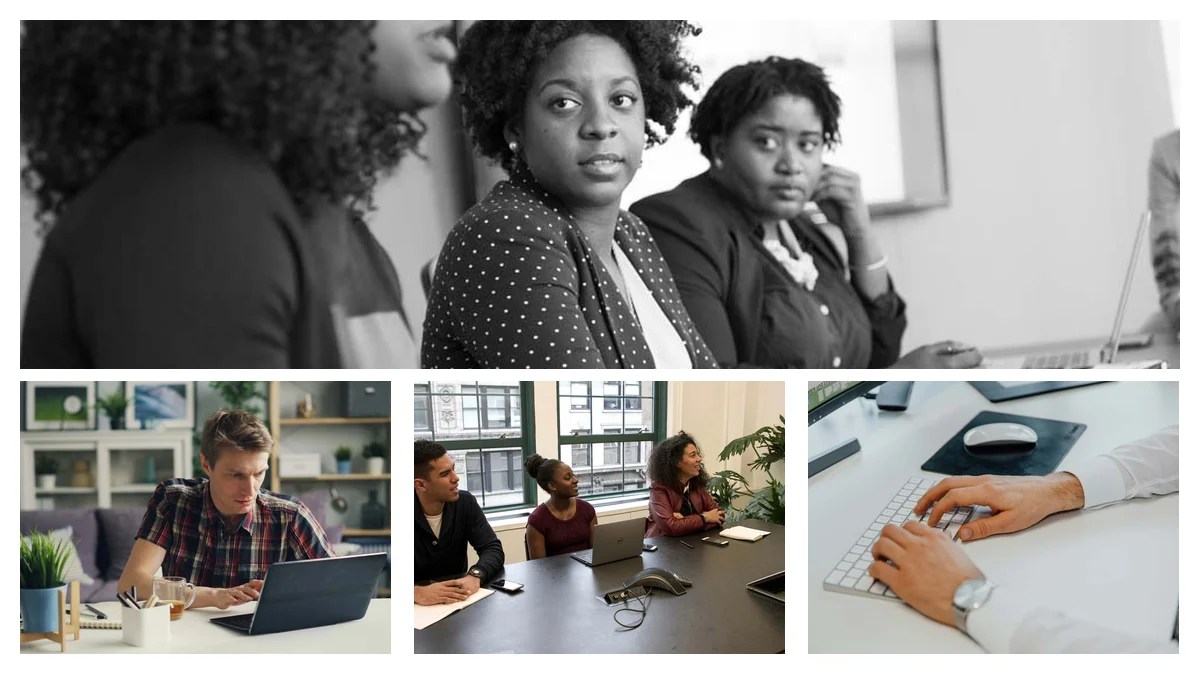 Bakery Clerk Myths: Separating Fact From Fiction