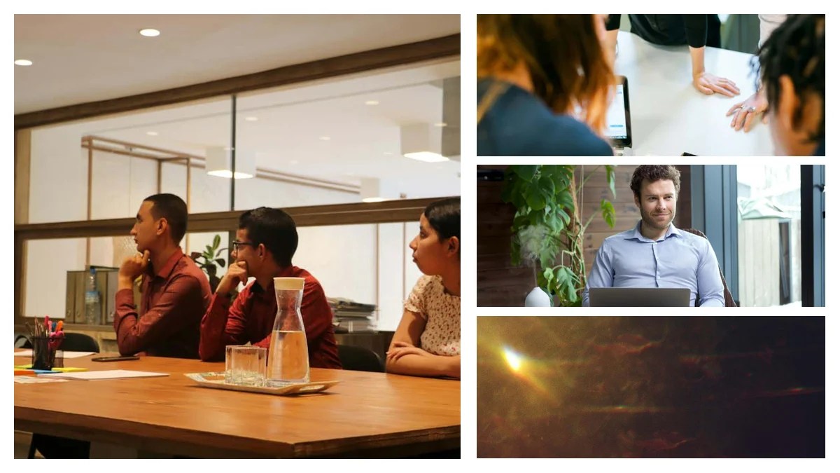 Sales Representative Specializations: Find Your Ideal Niche