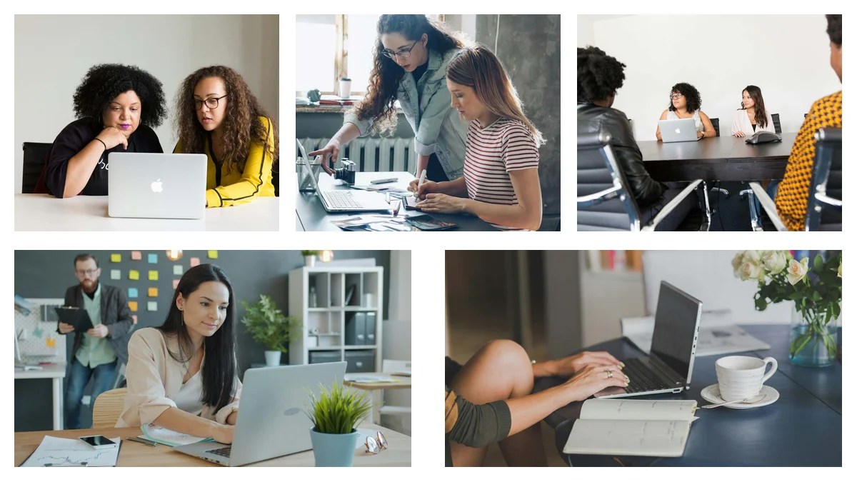 Warranty Clerk: Ethics and Mistakes Playbook