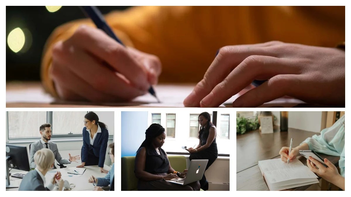 Textile Designer: Startup vs. Enterprise – Which Path is Right?