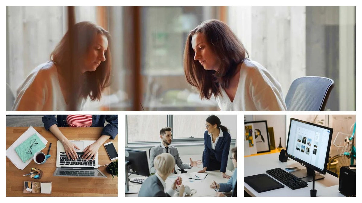 Environmental Analyst Resume: Skills to Land the Job