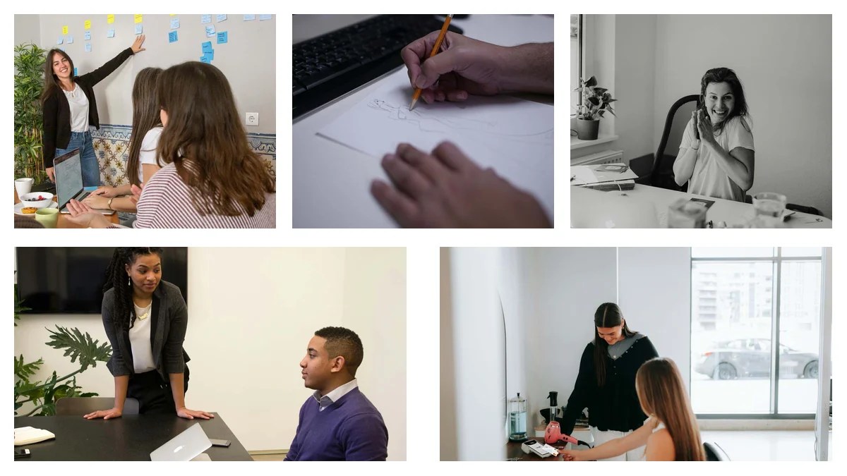 Nail the Tax Auditor Job: Proven Qualifications Guide