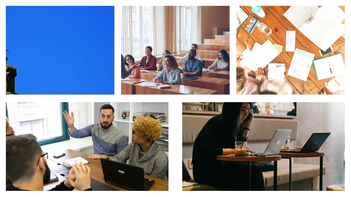 Debunking Myths: Is a Veterinarian Career Right for You?