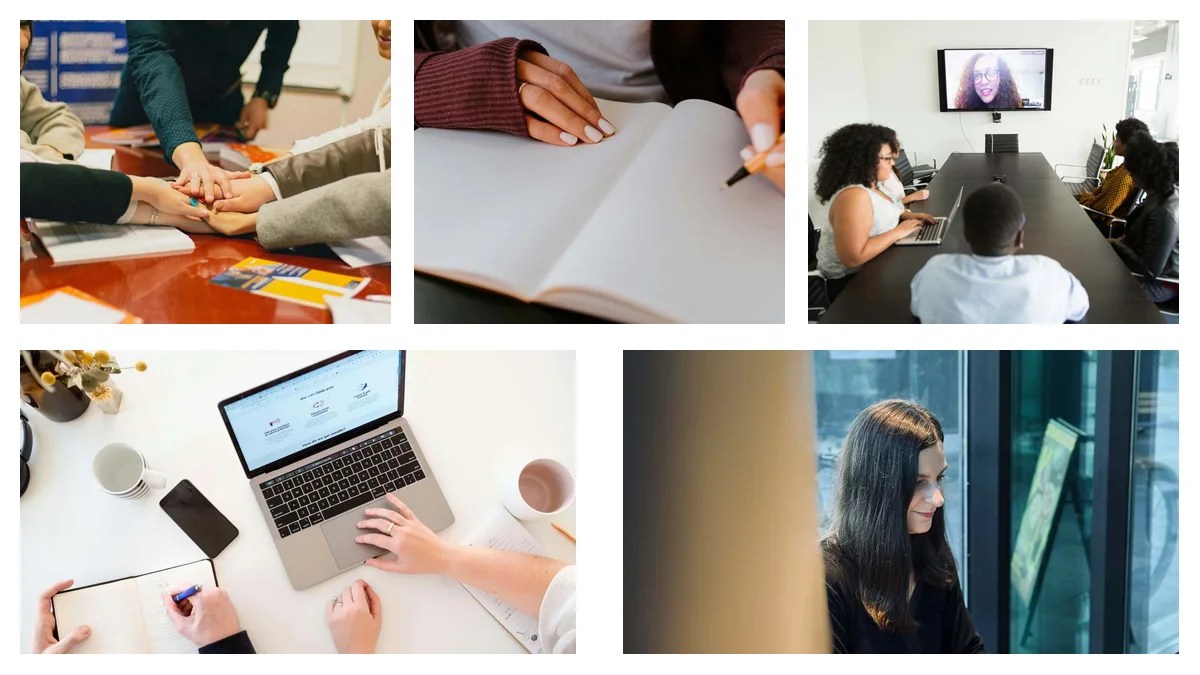 Veterinarian: Your 30/60/90-Day Plan for Success