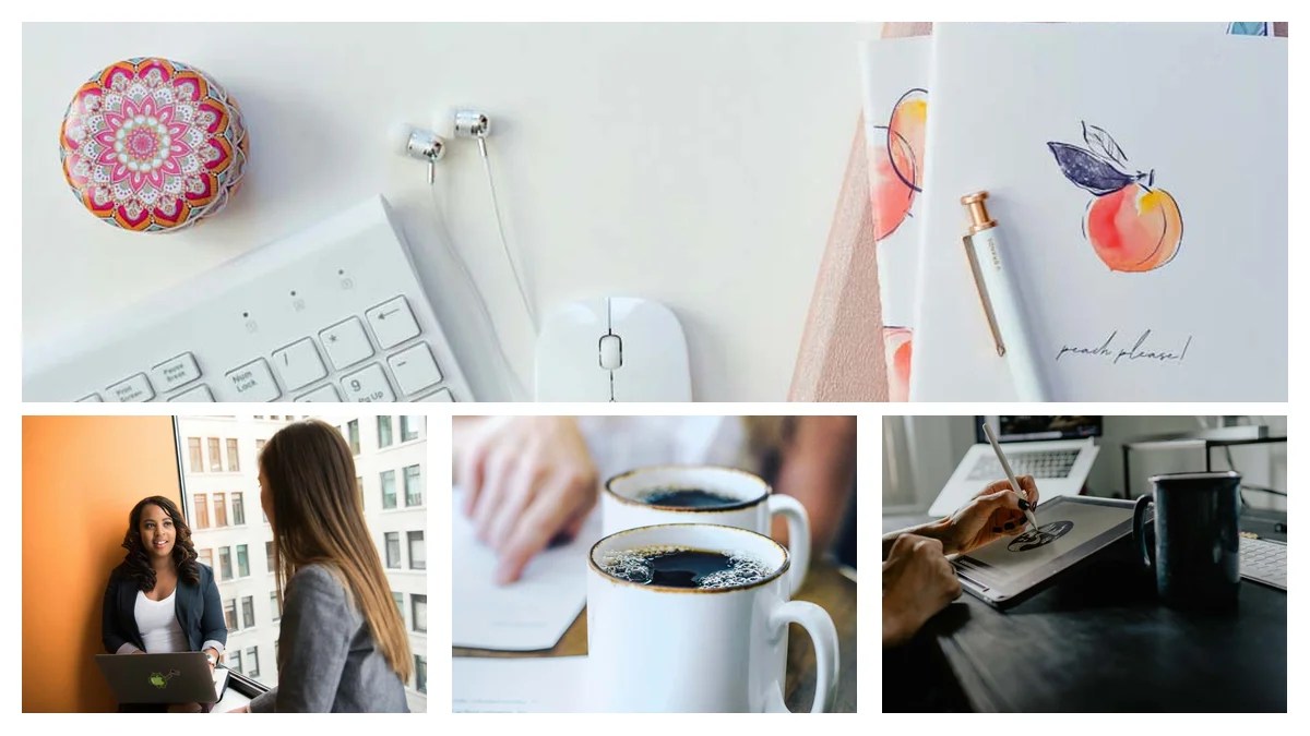 Veterinarian to Tech: A Practical Transition Playbook